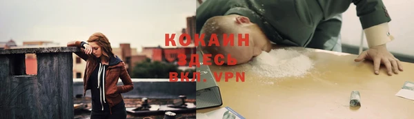 ГАЛЛЮЦИНОГЕННЫЕ ГРИБЫ Алзамай