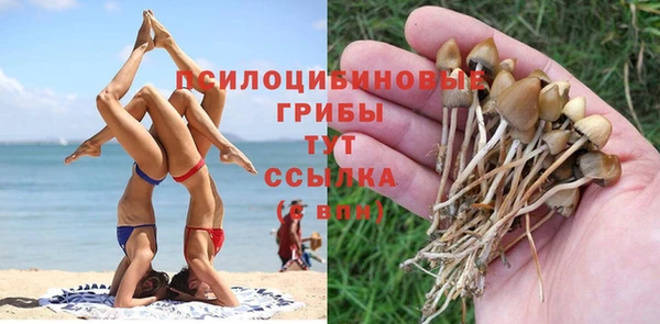гашиш Абаза