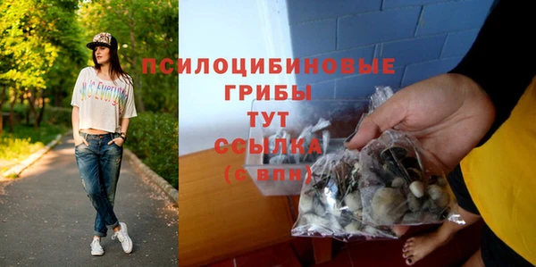 ГАЛЛЮЦИНОГЕННЫЕ ГРИБЫ Алзамай