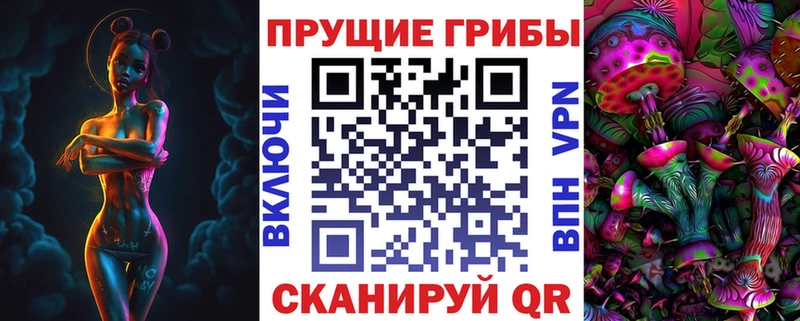 купить наркотик  Саранск  МЕГА ССЫЛКА  Галлюциногенные грибы Psilocybine cubensis 