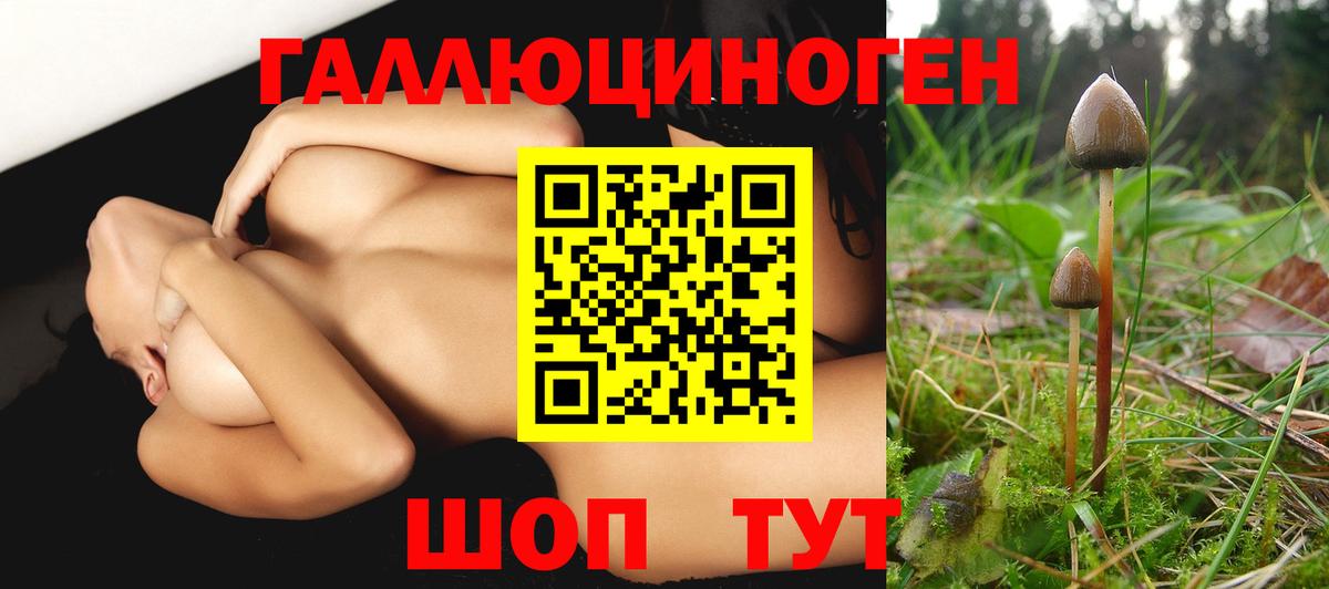 Галлюциногенные грибы GOLDEN TEACHER  Галлюциногенные грибы ЛСД  Вход с VPN  Саранск 