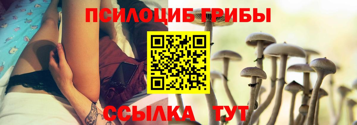 Псилоцибиновые грибы мицелий Саранск
